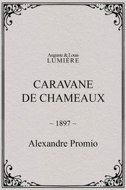 Caravane de chameaux