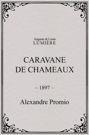 Poster Caravane de chameaux 1897