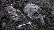 Secret School and Concealed Castle Cemetery