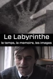 Le Labyrinthe - le temps, la memoire, les images streaming