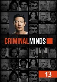 Imagen Mentes criminales 13