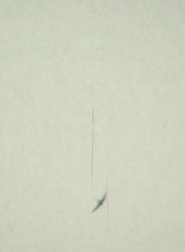 Poster Apus Apus 1984