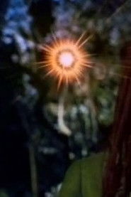 Hinekaro Goes on a Picnic and Blows Up Another Obelisk (1994)