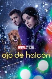 Ojo de Halcón Temporada 1 Capitulo 4