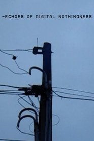 Echoes of Digital Nothingness
