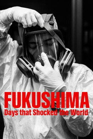 Fukushima: Days That Shocked the World