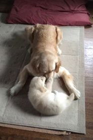 Hopper meets Venkman (2014)