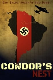 Condor's Nest постер