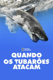 Quando os Tubarões Atacam — Temporada 7