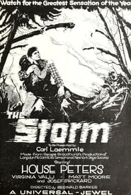 Poster The Storm