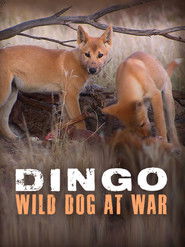 Dingo: Wild Dog at War (2013)