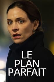 Film Le Plan Parfait En Streaming
