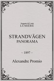 Poster Strandvägen : panorama