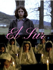El Sur постер