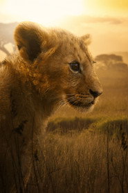 LION постер
