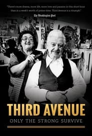 Third Avenue: Only the Strong Survive streaming