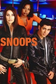 Poster Snoops 1999