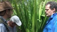 Montravers Estate (Part 2) - Nevis, West Indies