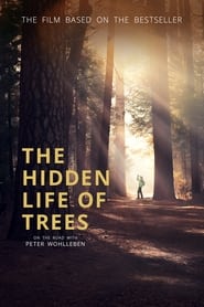 Poster The Hidden Life of Trees 2020