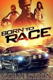 Fiche et filmographie de Born To Race Collection