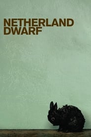 Poster Netherland Dwarf