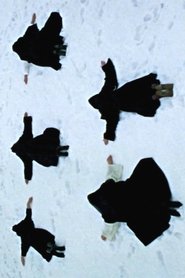 Les Filles du Roy) Les Filles du Roy (1974)