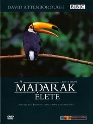 A madarak élete