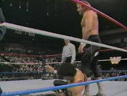 November 26, 1988 - Superstars of Wrestling 117