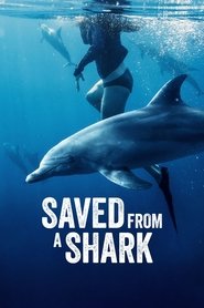 Saved From a Shark (2023) Cliver HD - Legal - ver Online & Descargar