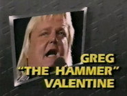December 5, 1987 - Superstars of Wrestling 66
