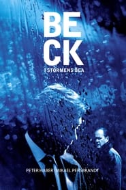 Beck 25 - I stormens öga (2009)