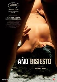 Año bisiesto (2010)