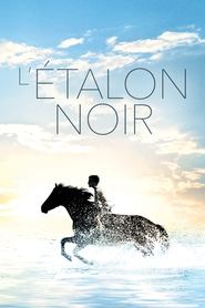 L'étalon noir