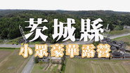 Episode 117