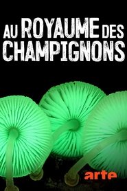 Au royaume des champignons 2018 Au royaume des champignons 2018