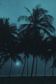 Navigazione sul nilo (anni dieci)