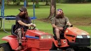 The Grass & the Furious