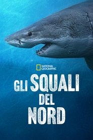 Sharks of the North) Sharks of the North (2025)