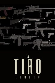 Poster A tiro limpio 2013