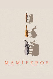 Mamíferos — Temporada 1
