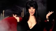 Elvira's 40th Anniversary, Very Scary, Very Special Special en streaming