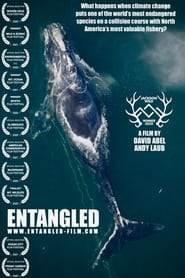 Entangled: The Race to Save Right Whales from Extinction постер