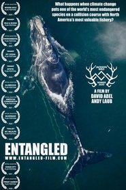 Entangled (2020)