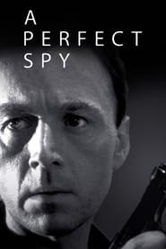 A Perfect Spy постер