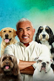 Cesar Millan: Better Human Better Dog постер