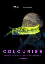 COLOURISE: Exploring the Magical World of Biofluorescence
