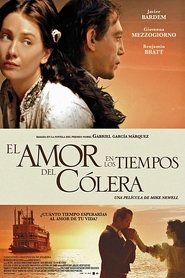 El amor en los tiempos del cólera poster