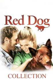 Red Dog Collection en streaming
