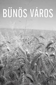 Poster for Bűnös Város