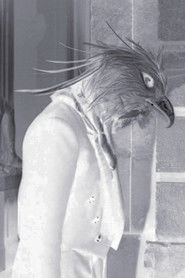 Un popolo. Uno stato